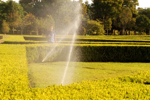 jardim botanico
